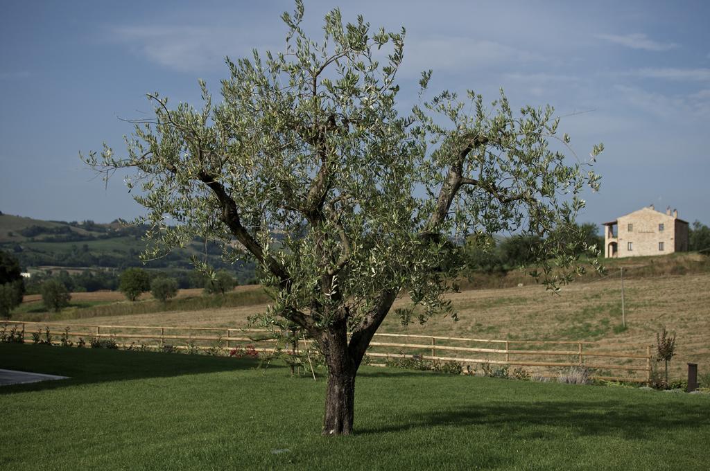 Moresco Agriturismo Exterior photo